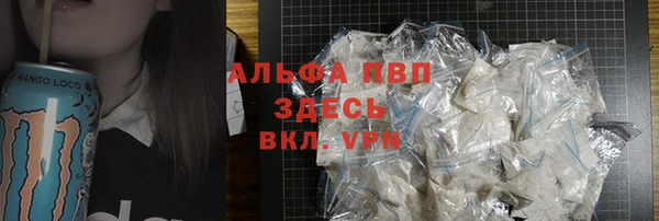 крисы Белокуриха