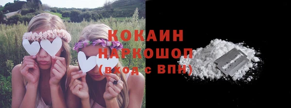 крисы Белокуриха