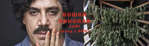 крисы Белокуриха